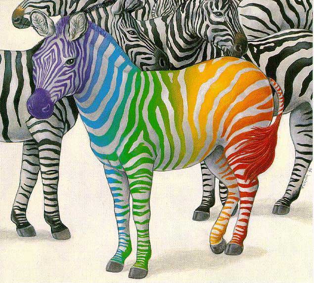  Postalusks | Tags: zebra, zebra hat, zebra purse, zebra sandals, 